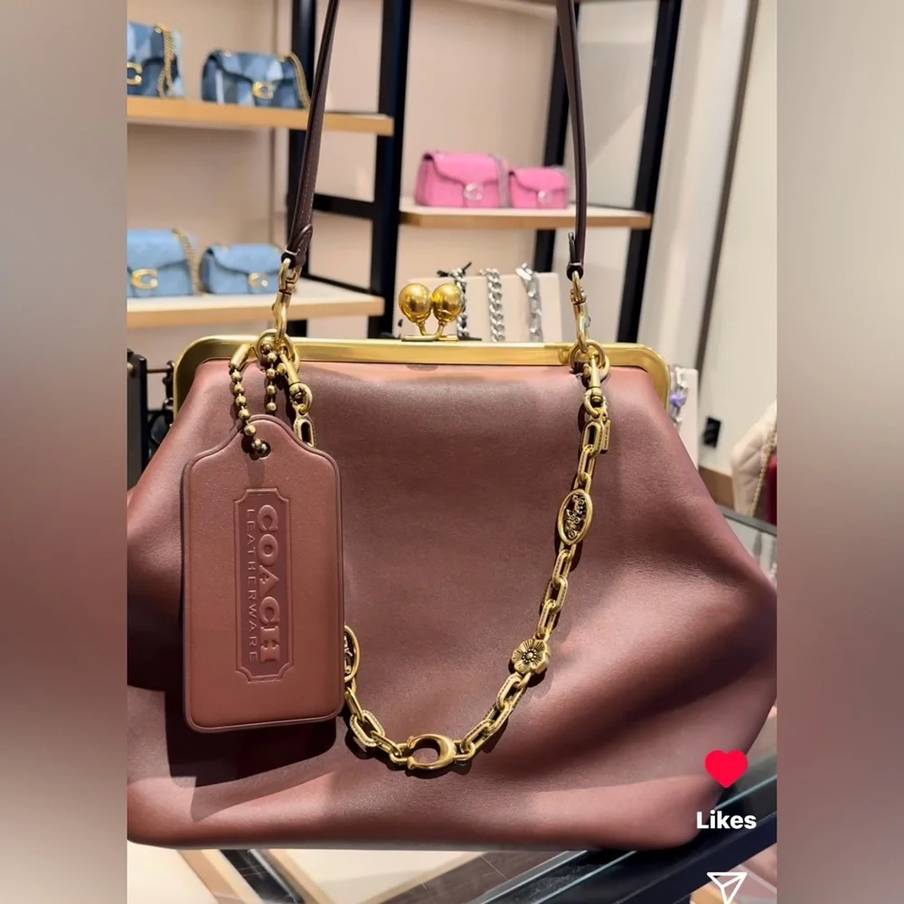 Coach Large Kisslock Frame Bag - Picture 13 of 16